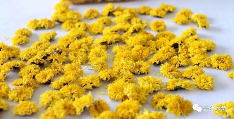 2018，種下希望，靜待花開！