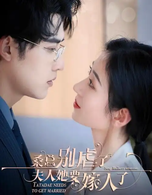 首尔星辰 韩国 2014